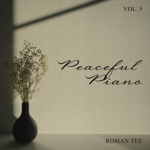 台湾中文综合久久
